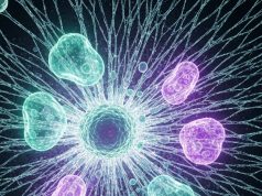 Biotechnologia w terapii komórkowej: Nowa era medycyny